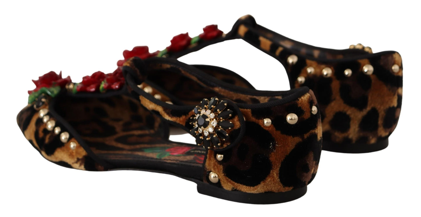 Dolce & Gabbana Floral Embellished Leopard T-Strap Sandals